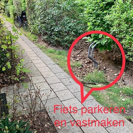 Wilde Moeflon, Geniet Van De Vrije Natuur! Otterlo Exterior photo